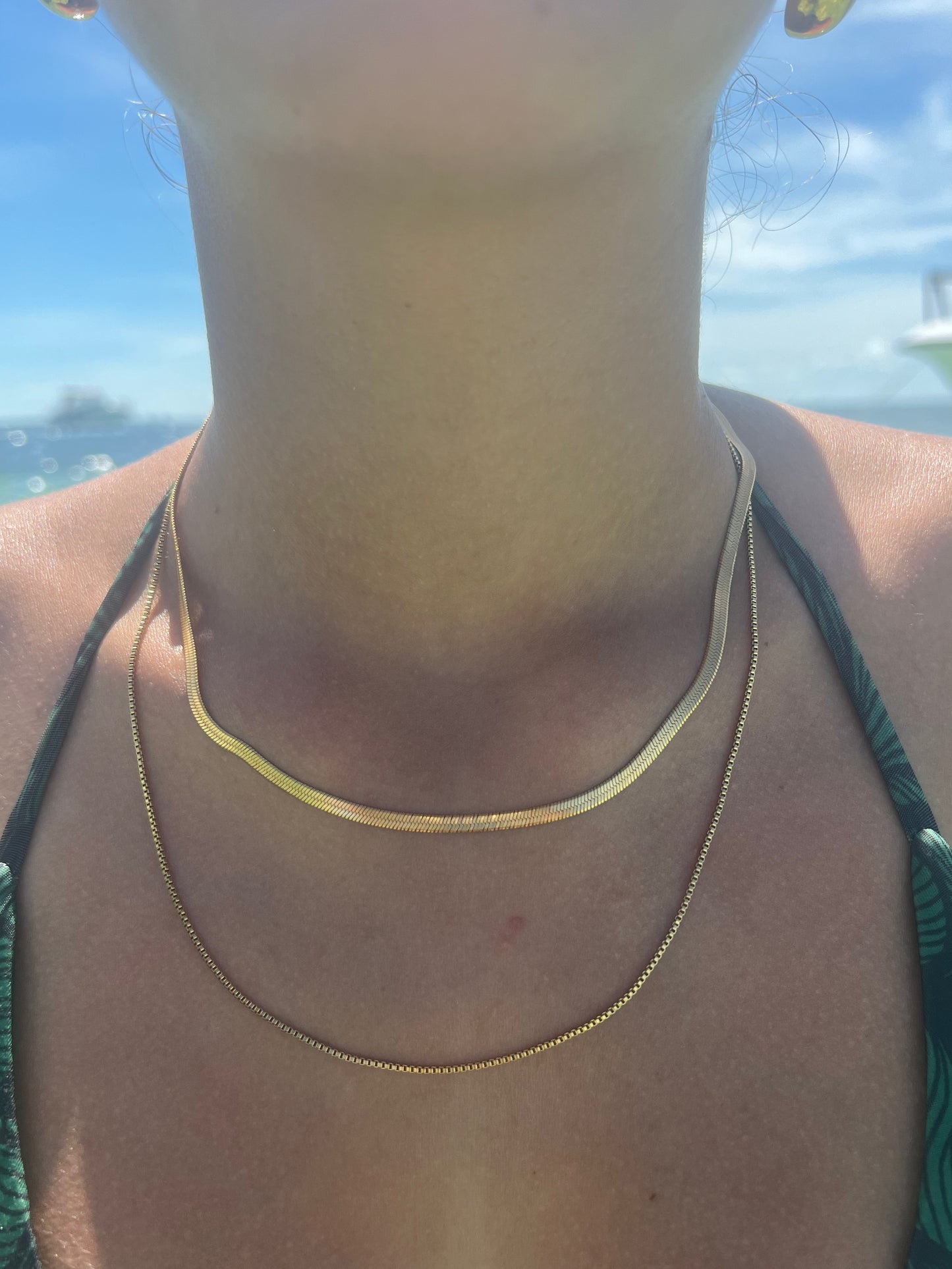 Double Layered Flat Snake Chain Necklace