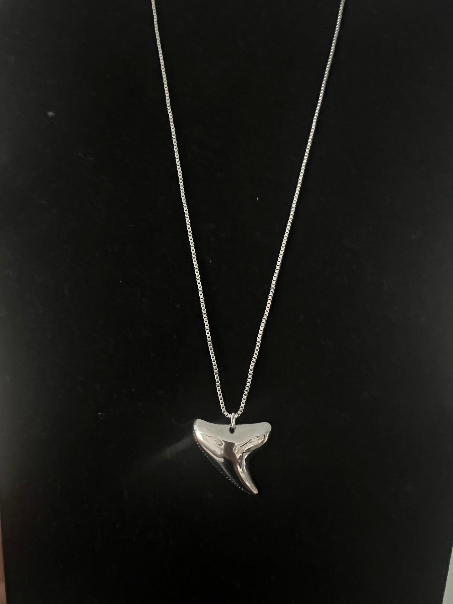 Shark tooth necklace