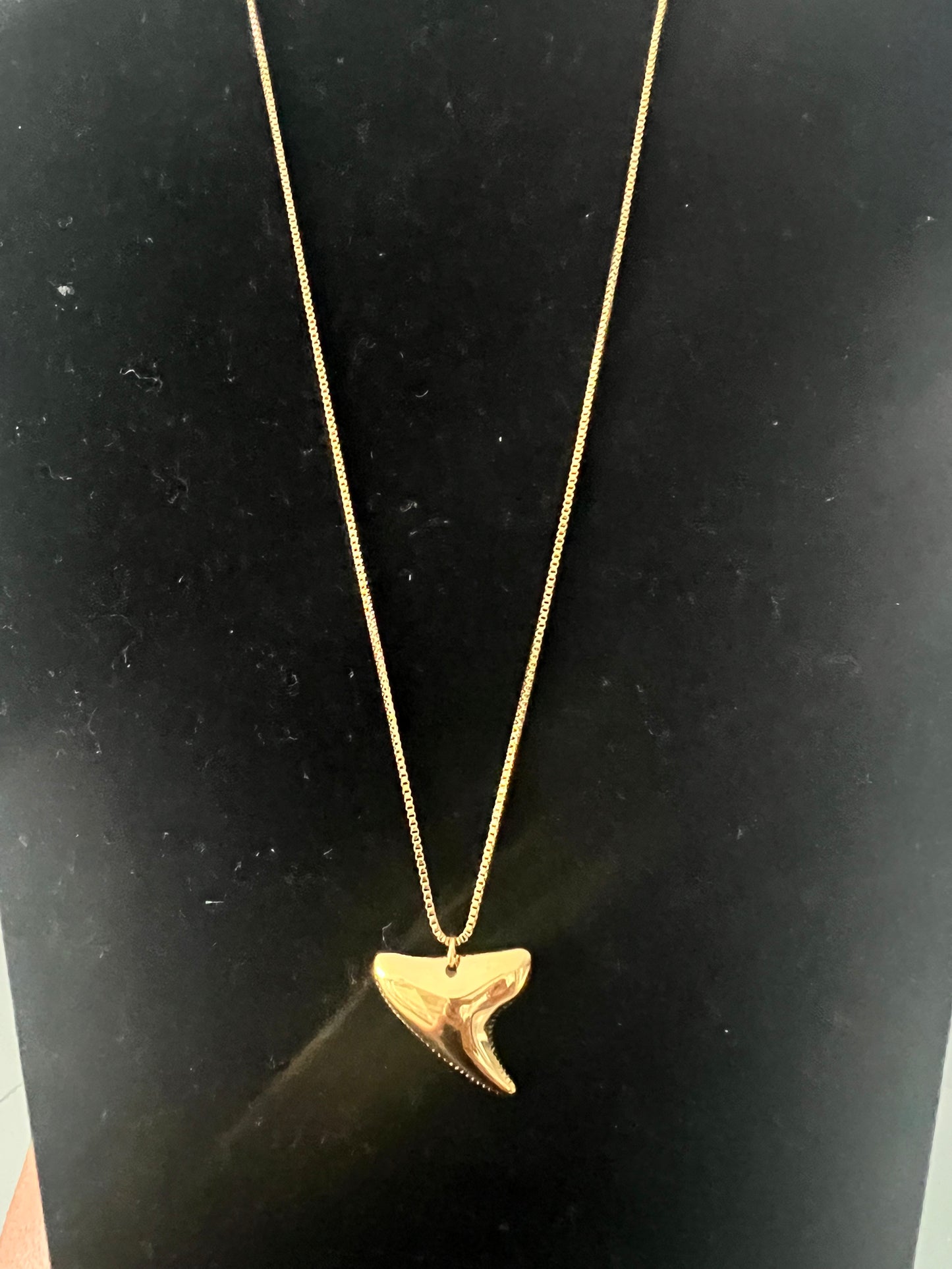 Shark tooth necklace