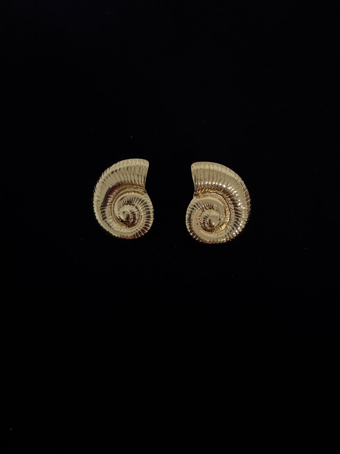 Nautilus shell large stud earrings