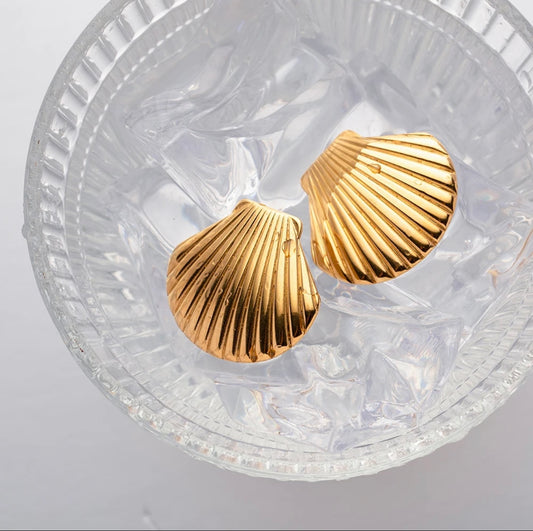 Large seashell stud earrings