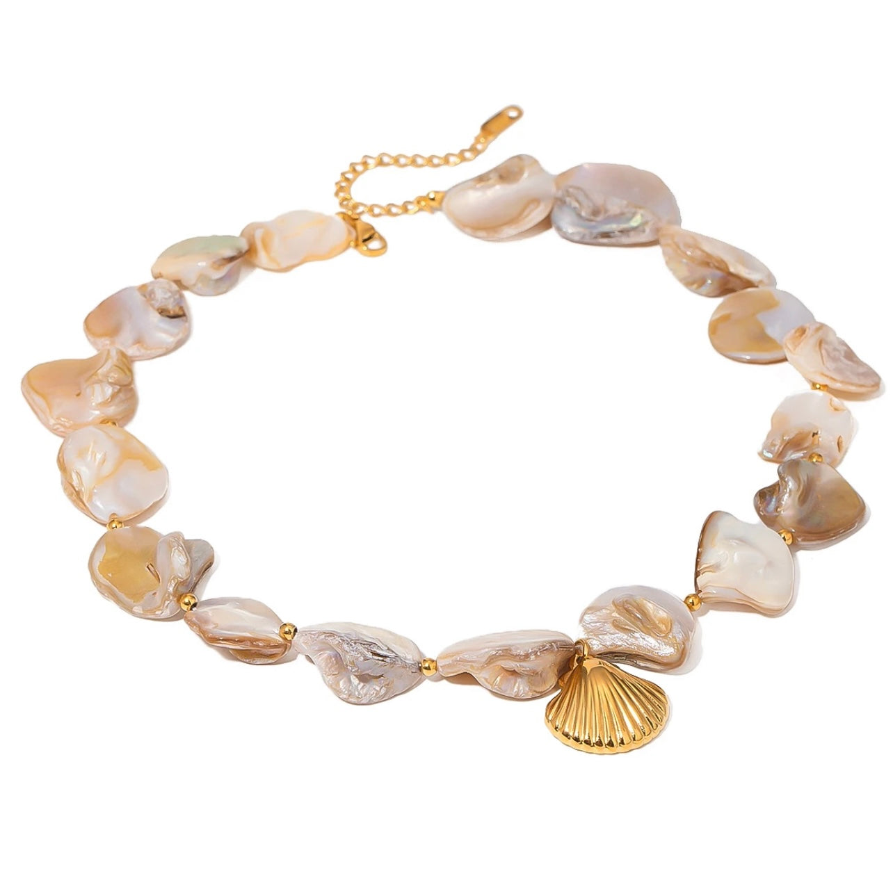 She’s all that and Seashells