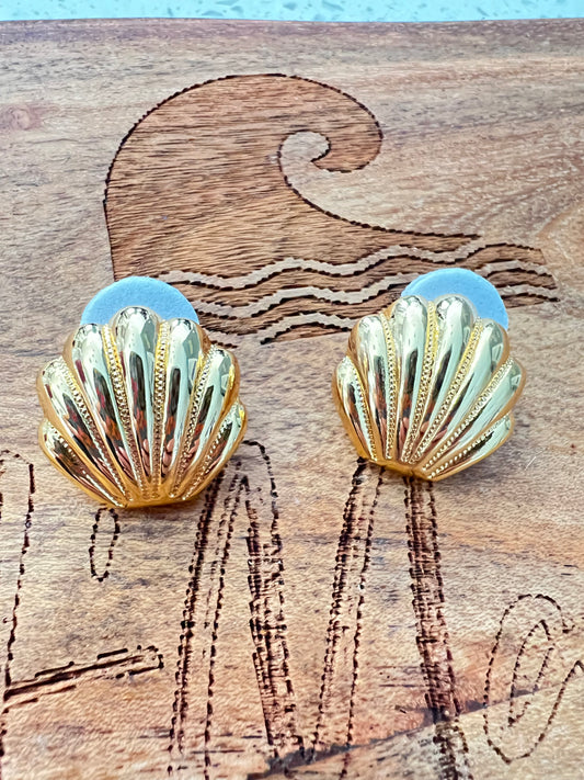 Scallop stud earrings
