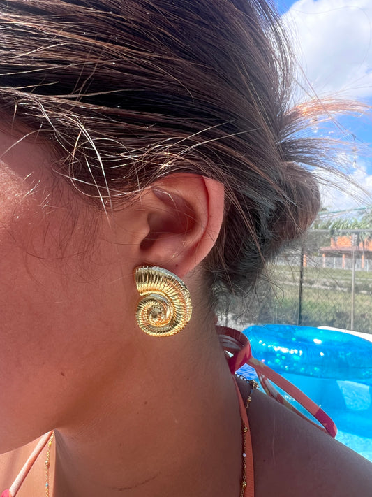 Nautilus shell large stud earrings