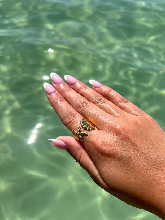 Sea star and shell ring
