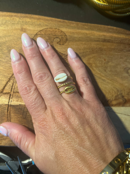 Shell wrapped in gold ring