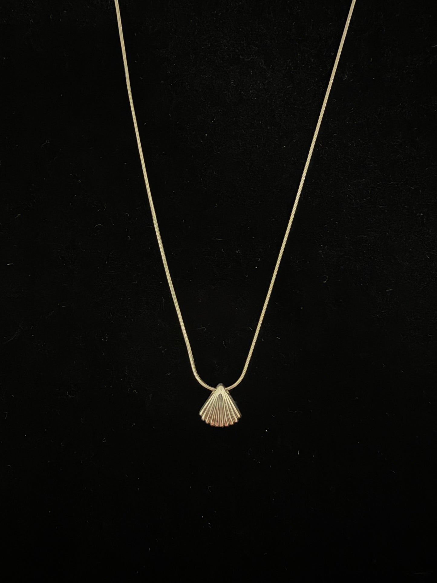 Seashell charm necklace